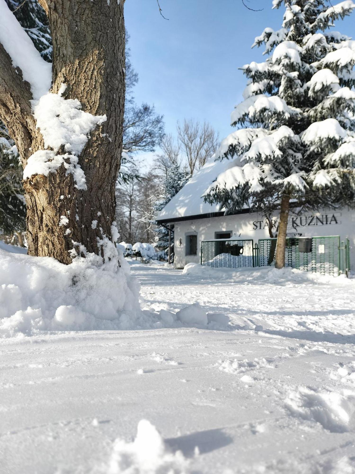 Apartamento Stara Kuznia Duszniki Zdrój Exterior foto